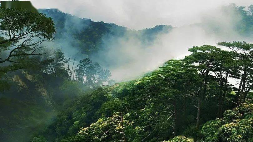 逃离阴森的岛屿