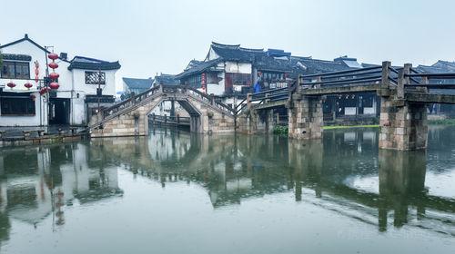 逃离金色蜜蜂森林