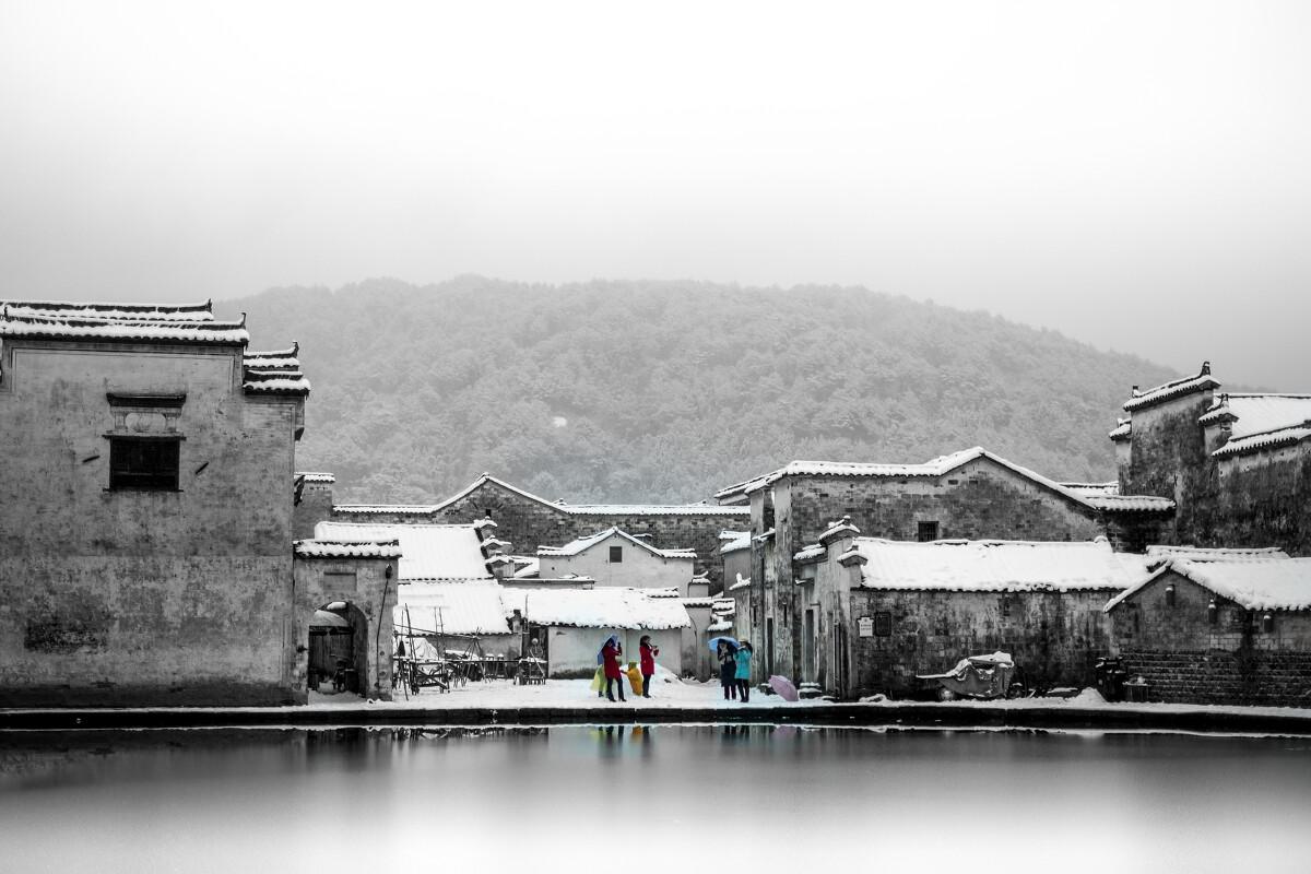 逃出蜜蜂岛